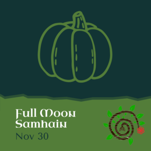 Vector pumpkin in green representing the full moon